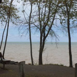 Meet your Posher, Lynn